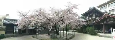 東長寺(福岡県)