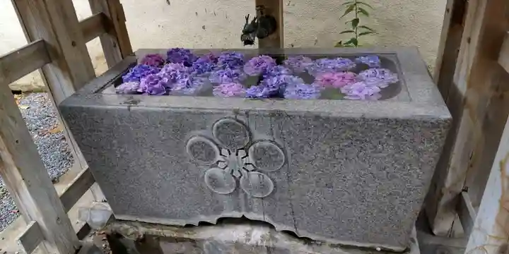 櫻木神社の手水舎