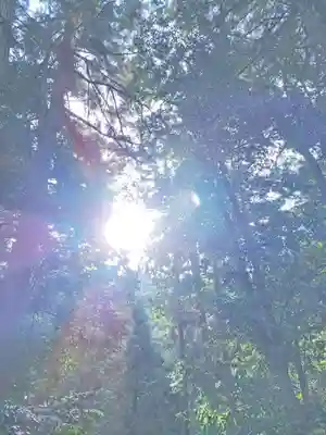 比沼麻奈為神社(京都府)