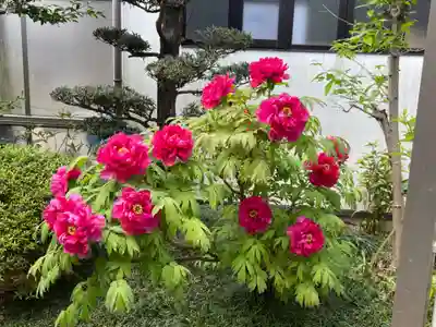 梅香寺(三重県)