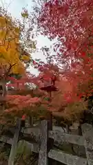 鍬山神社(京都府)