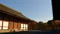 東寺(教王護国寺)の本殿・本堂