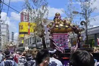 浅草神社のお祭り