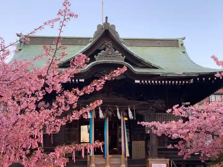 桜神宮の本殿・本堂