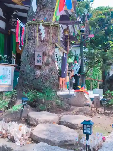 高木神社のその他建物