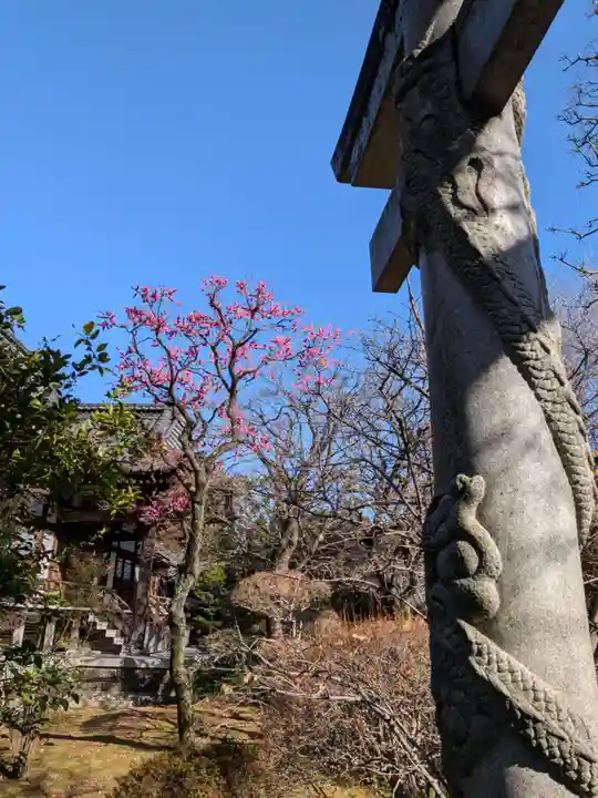 高円寺(東京都)
