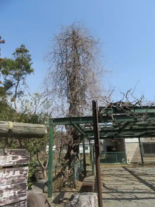 山梨岡神社のその他建物