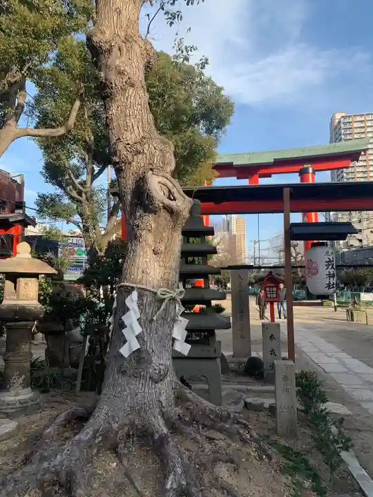 尼崎えびす神社(兵庫県)