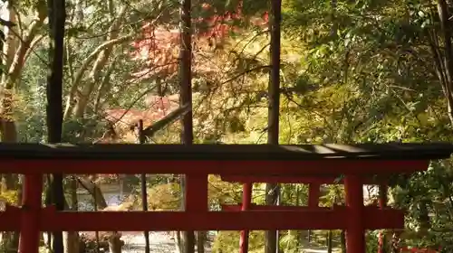 二葉姫稲荷神社の鳥居