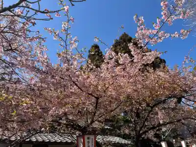世良田東照宮(群馬県)