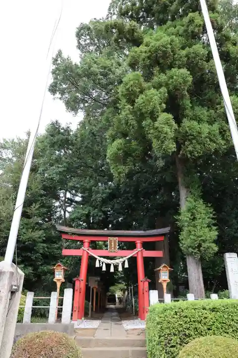 白鬚神社(埼玉県)