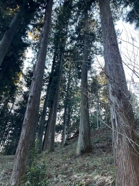 大宮温泉神社(栃木県)