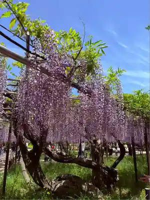 龍城神社(愛知県)