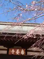南養寺の本殿・本堂