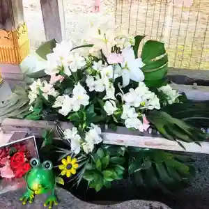 彌彦神社 (伊夜日子神社)の手水舎(2024年05月19日(日) 09時10分05秒投稿)