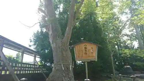 大畑八幡宮(青森県)