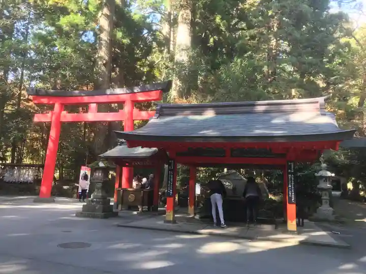 箱根神社の手水舎