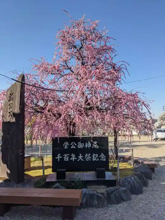 岡崎天満宮の自然