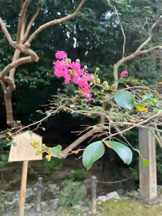 御寺 泉涌寺(京都府)