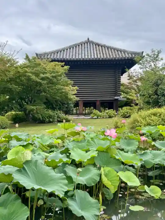 東寺(教王護国寺)(京都府)