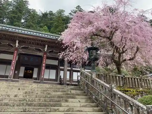 最乗寺（道了尊）の本殿・本堂