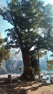 坂八幡神社(山梨県)