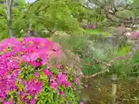 蓮華王院(三十三間堂)(京都府)