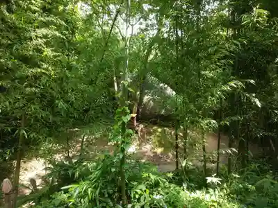 神在神社の自然