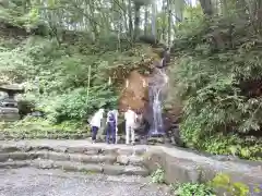 戸隠神社中社の自然