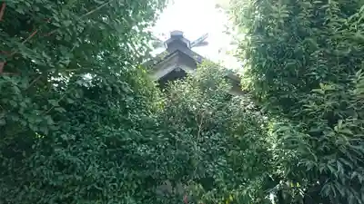 東林間神社の本殿・本堂