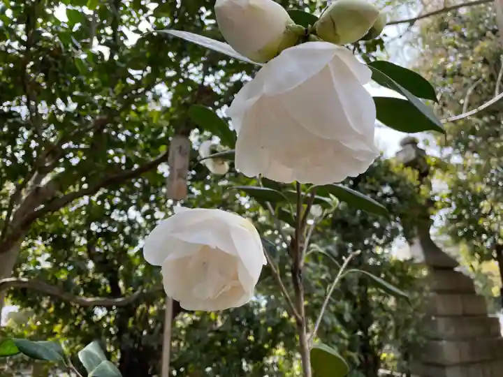 城南宮(京都府)