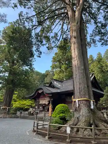 北口本宮冨士浅間神社の自然