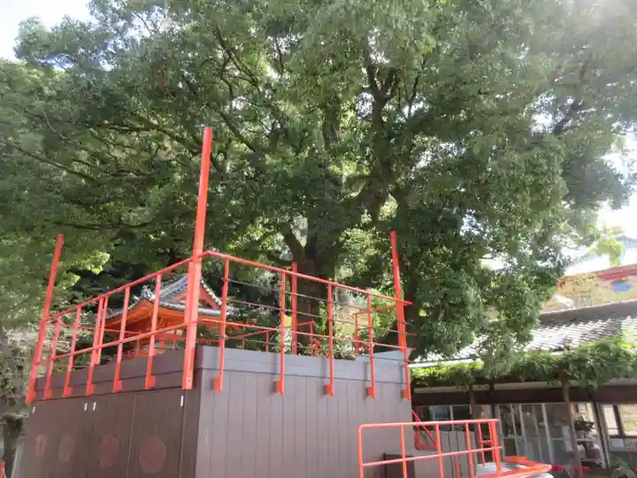 金剛宝寺(紀三井寺)(和歌山県)