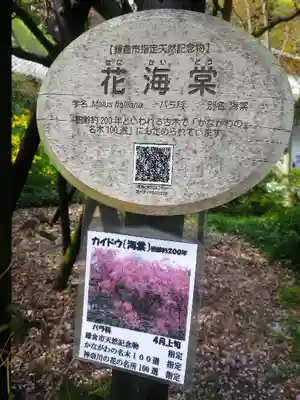 光則寺のその他建物