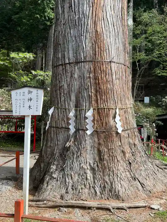 日光二荒山神社(栃木県)