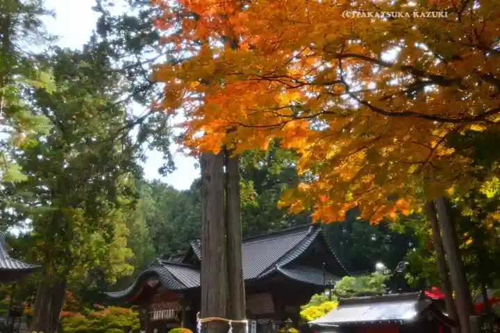 北口本宮冨士浅間神社(山梨県)