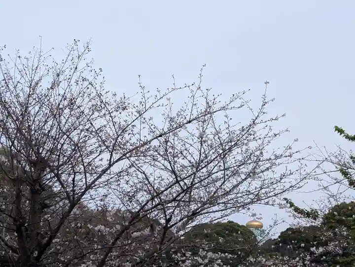 千鳥ヶ淵戦没者墓苑(東京都)