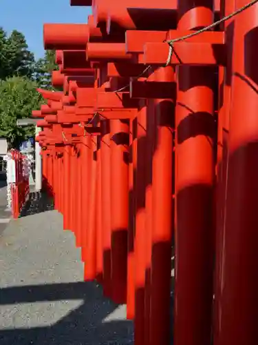 小泉稲荷神社の鳥居