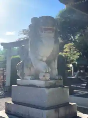 赤羽八幡神社の狛犬