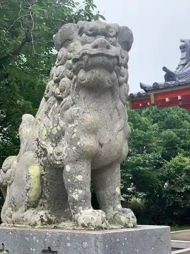 浜松秋葉神社の狛犬