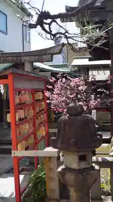 市比賣神社(京都府)