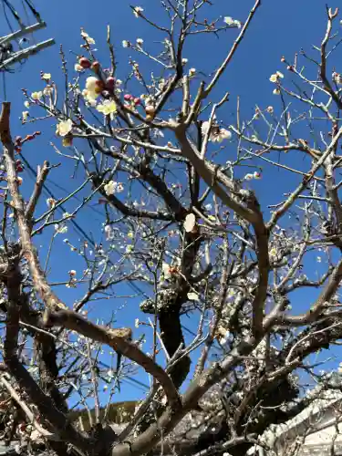 赤岩寺の{uncategorized: "未分類", other: "その他", undefined: "問題あり", building: "その他建物", grave: "お墓", sacred_gate: "鳥居", guardian: "狛犬", statue: "像", buddha: "仏像", history: "歴史", nature: "自然", garden: "庭園", animal: "動物", pagoda: "塔", temizu: "手水舎", mountain_gate: "山門・神門", sanctuary: "本殿・本堂", subordinate: "末社・摂社", art: "芸術", scenery: "景色", jizo: "地蔵", ema: "絵馬", goshuin: "御朱印", omikuji: "おみくじ", items: "授与品その他", amulet: "お守り", goshuincho: "御朱印帳", eats: "食事", festival: "お祭り", votive_dance: "神楽", shichigosan: "七五三参", wedding: "結婚式", experience: "体験その他", initially: "初詣", around: "周辺", anti_infection: "感染症対策"}