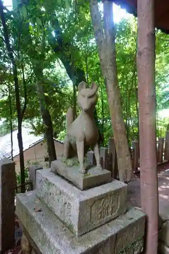 宇治上神社の狛犬