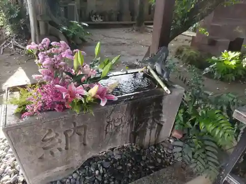 柏諏訪神社の手水舎