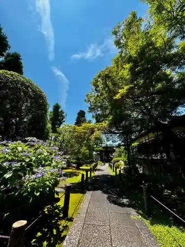 天球院(京都府)