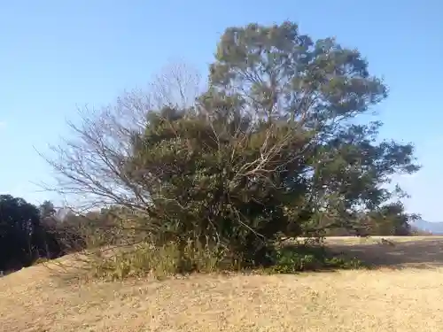 鹿島神社の自然