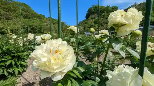 金蛇水神社の自然
