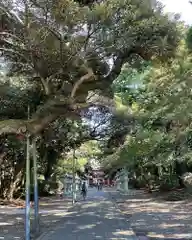 息栖神社の建物その他