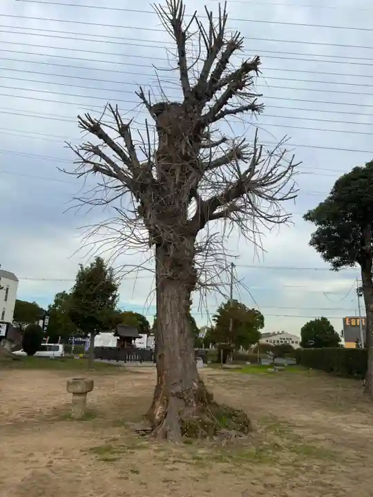 弁財神社 竹嶋神社の自然