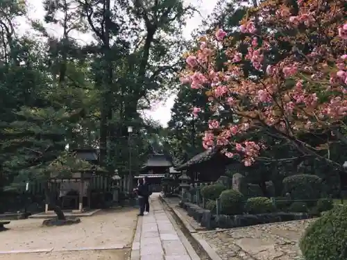 今宮神社の自然